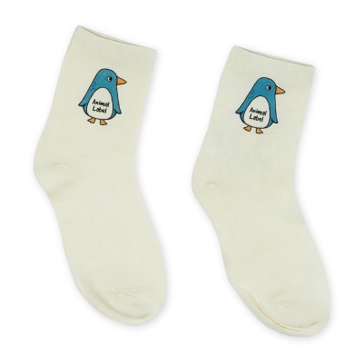 Blue Penguin-undefined