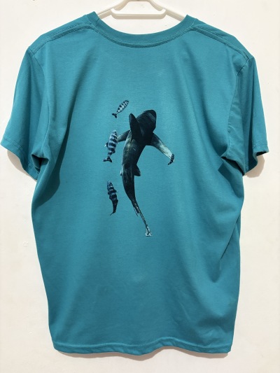 Marine Life-undefined
